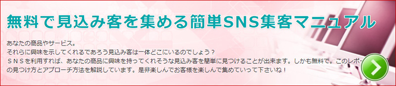 SNS̊gU𗘗pĎvグ@